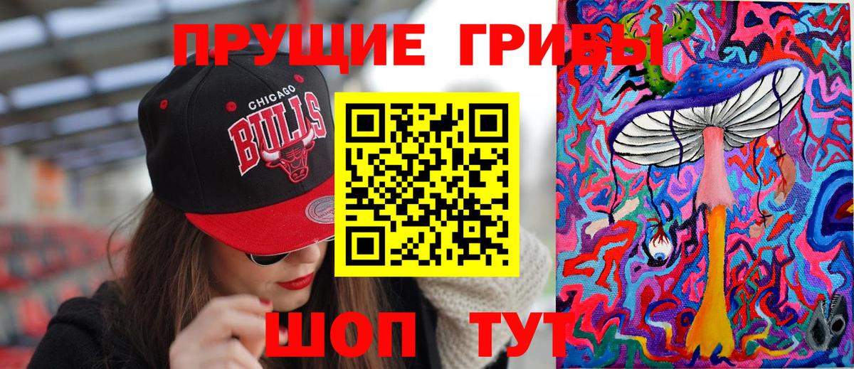 Галлюциногенные грибы Psilocybine cubensis Надым